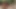 Pornstarplatinum angelina valentine ve yuri luv dildo seks