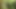 Bruderliebe und geiler sex