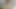 OOPSIE - Horny Trans Futa MILF Connie Perignon Caught Futa Stepdaughter Lulu Chu Masturbating