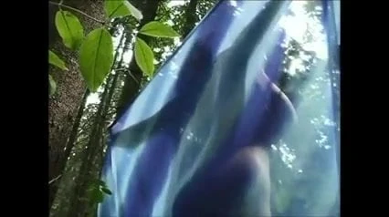 In the woods