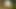 anal caterpillar dildo naked in the woods