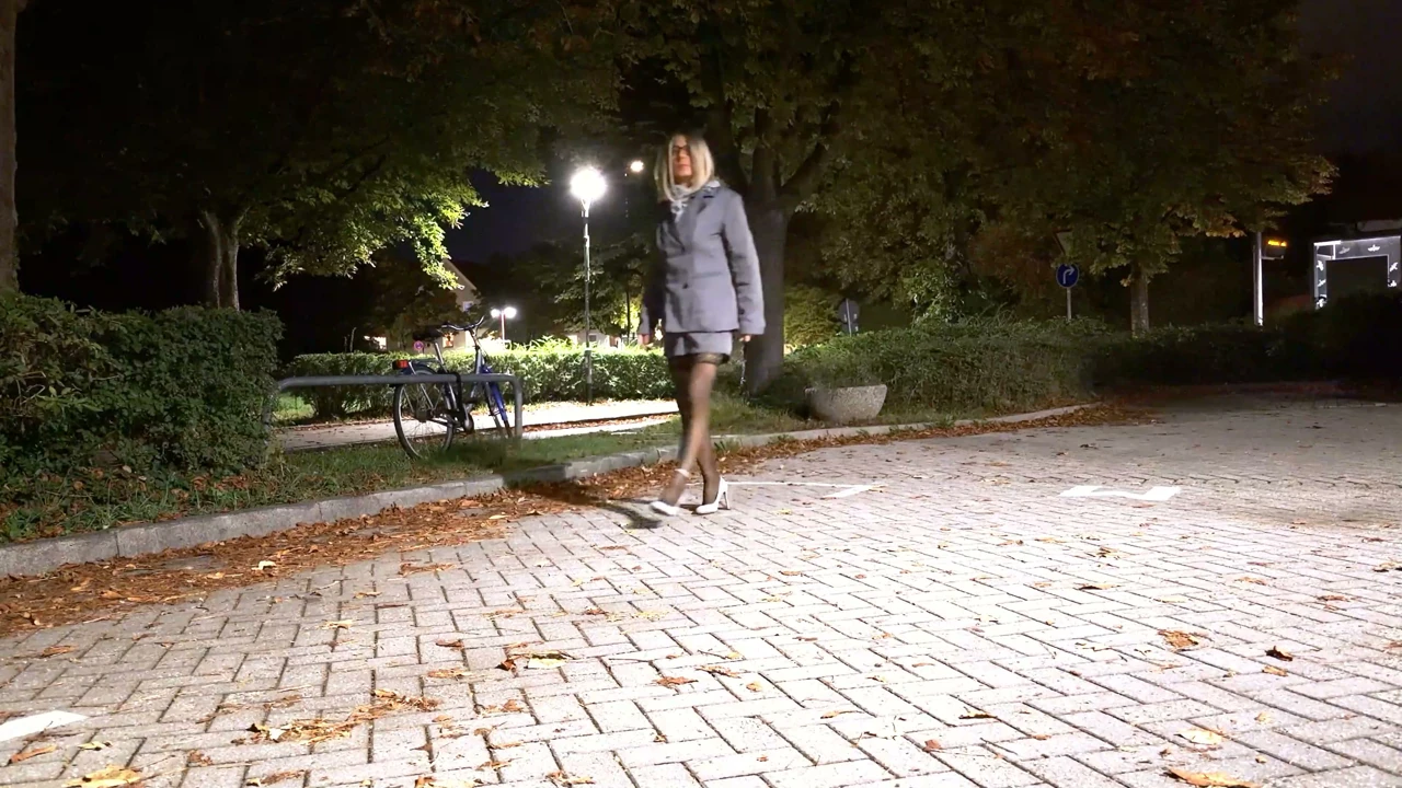 In nylon stockings and business suit I stumble through the night,Loreleyadd