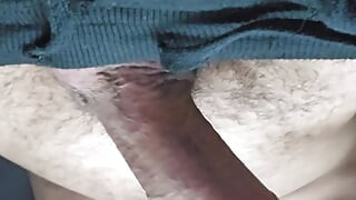 Penis