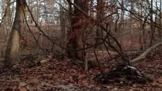 森の中で裸のボルチモア