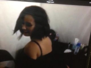 Demi Lovato homenaje 1