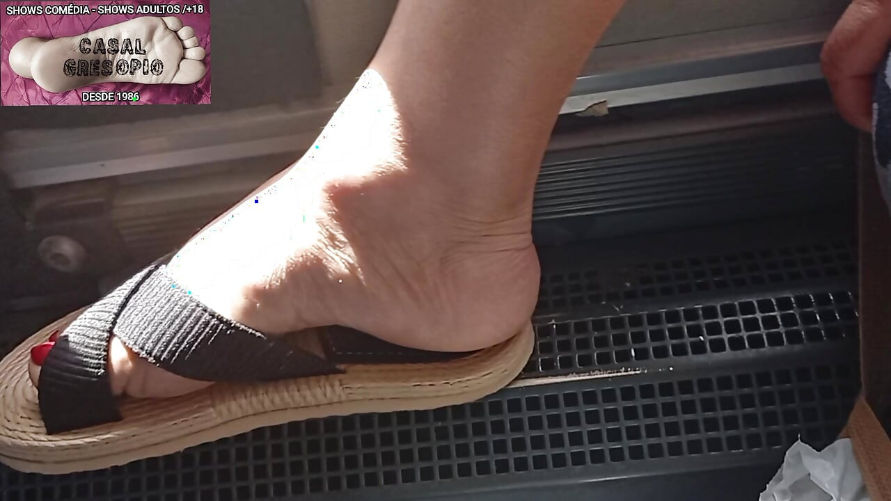 PUBLIC TRANSPORT 14