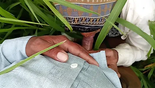 In the millet field, my elder sister-in-law sucked the cock and ass Mari opened the field of millet and killed my sister-in-law's ass