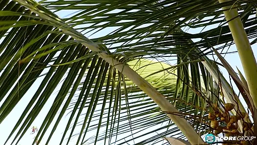 Good Girls Wear Black