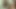 Pissing, Swallowing, Licking Cunt a Slut