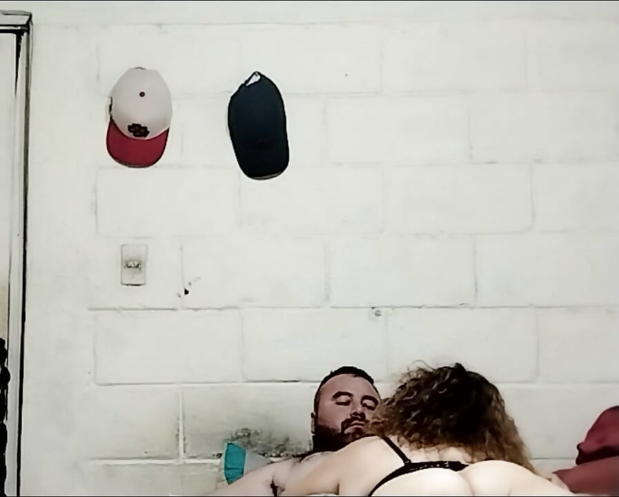 Velika guza maćehe