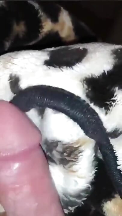Árabe real, primera vez anal amateur casero, pareja folla duro a mi esposa