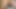 Video call with a fan and my neighbor films me