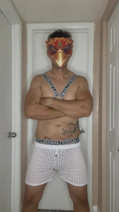 Phoenix Reloaded