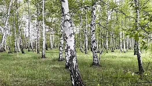 Departure to the forest