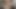 I Suck a Nice Cock and Get My MILF Slut Pussy Fucked.
