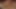 Anal Sex Interracial Lovers From India