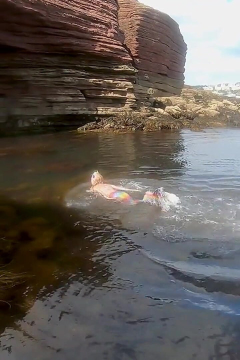 Mermaid Spotted! Wet Encounter in Lost Cove