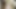 肮脏的flix - 蜜月性爱的味道