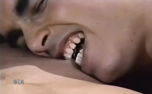 Все геи.