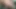 ssbbw big bitch