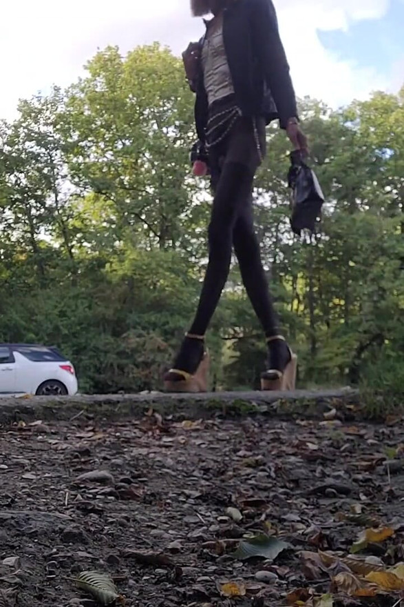 Walking in the Forest