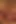 Nicola POV Blow Job