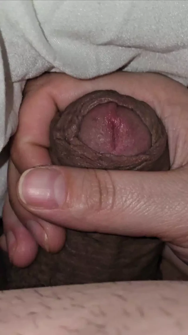 Step mom under blanket handjob step son while husband is next to them