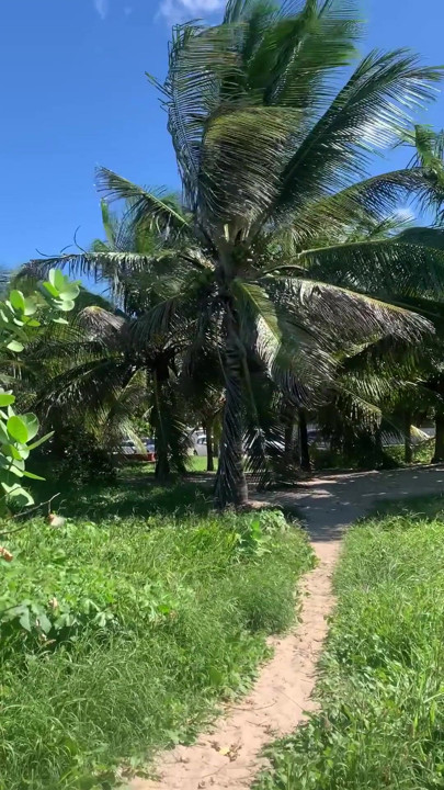 big dick on the beach | Clip 1