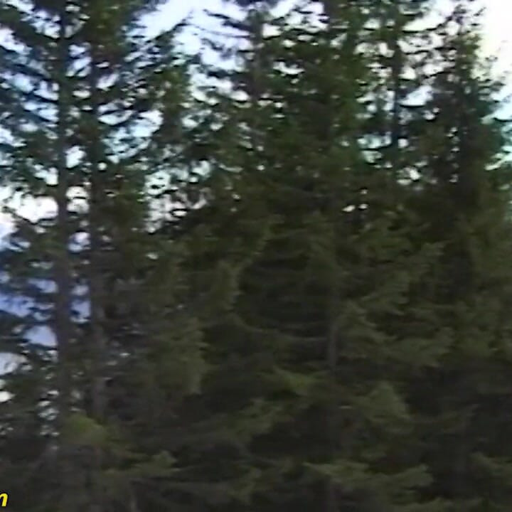 Wild German outdoor clan therapy