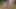 12 Ocak günü sfm &amp; blender porno derlemesi - 2022