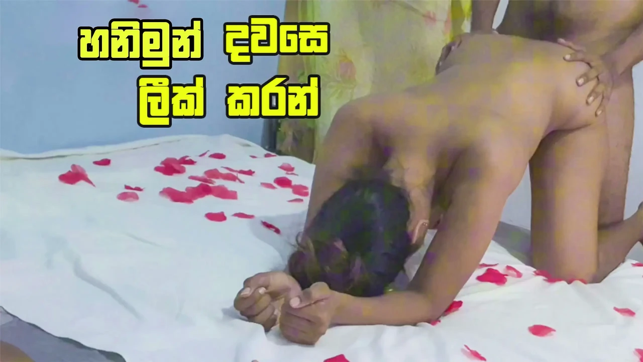Beautiful sri lankan couple honeymoon Fuck