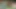 Mofos - payton preslee menggrepe-grepe sama abella hazard sampai dia udah nggak tahan lagi & udah mulai muasin memeknya di pinggir kolam renang