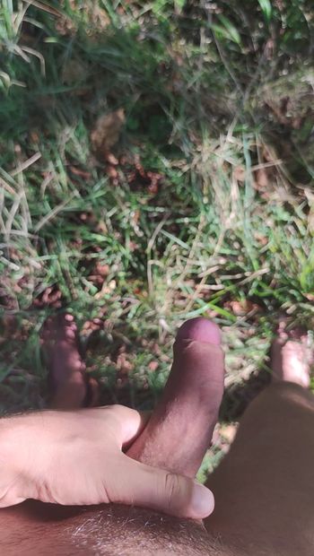 裸でハイキングをしていたときに自然の中で放尿