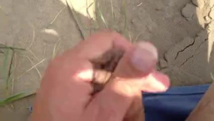 beach flash