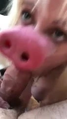 Webslut