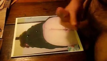 Bizim arkadaşlar büyük horoz haraç