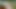 Naruto's Secret Mission with Tsunade. High Quality 3D Animation