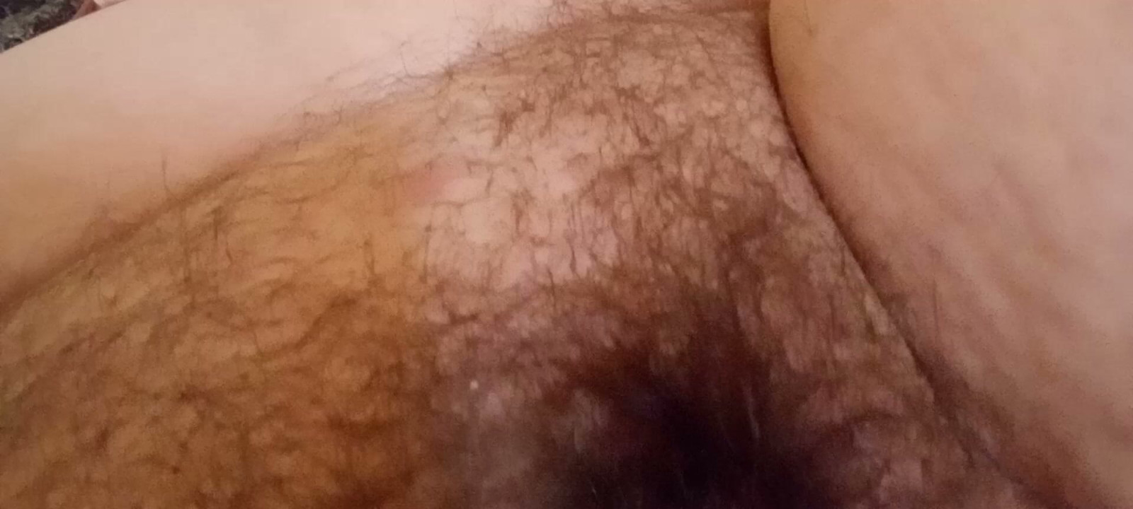 Do you dare to look inside.. Hairy vagina