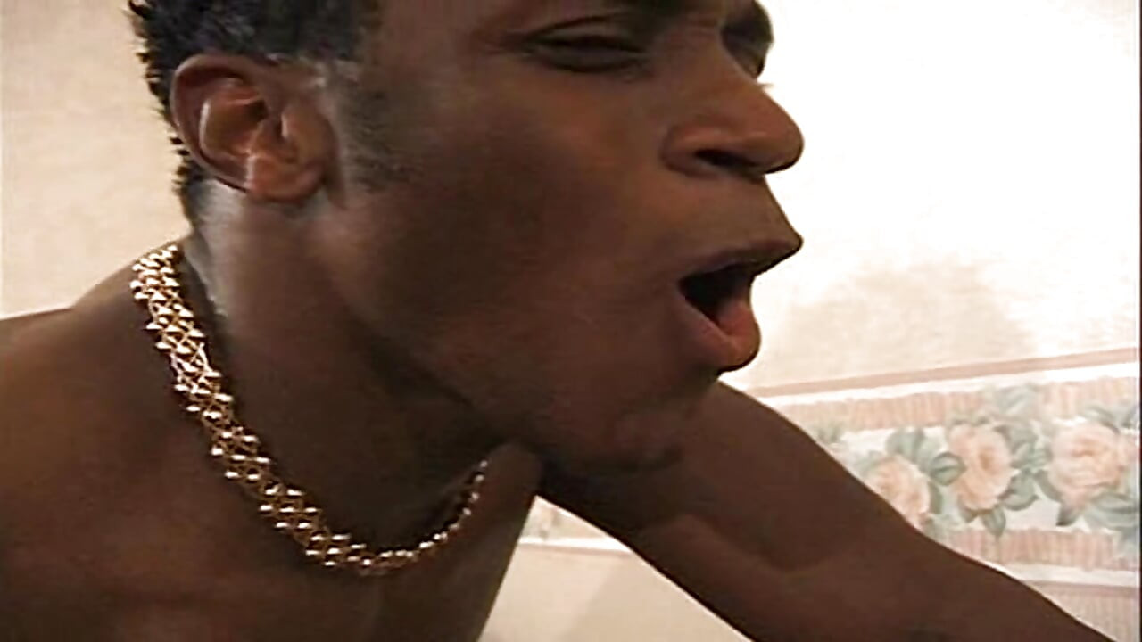 Big Willy: Y.w.c.a. - Young Women's Cock Academy
