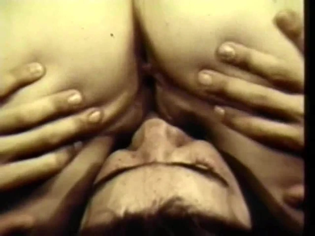 Pornography In The 70s