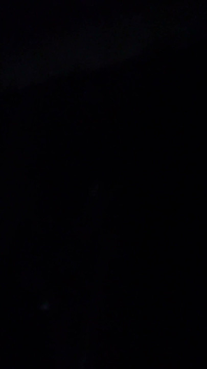 Me Bored Asf Doing Dumb Ass Shit | Clip 1