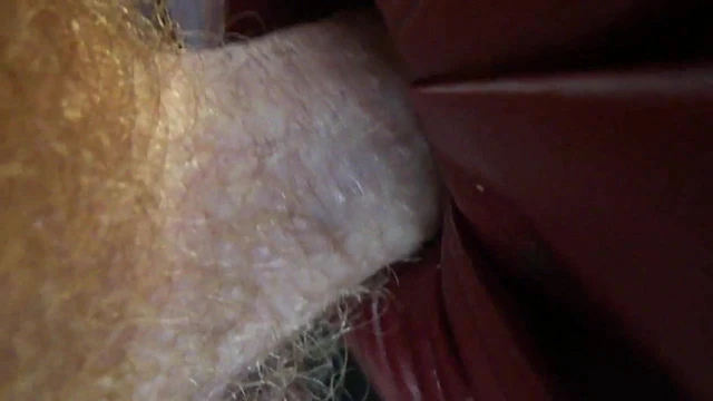 leather vacuum
