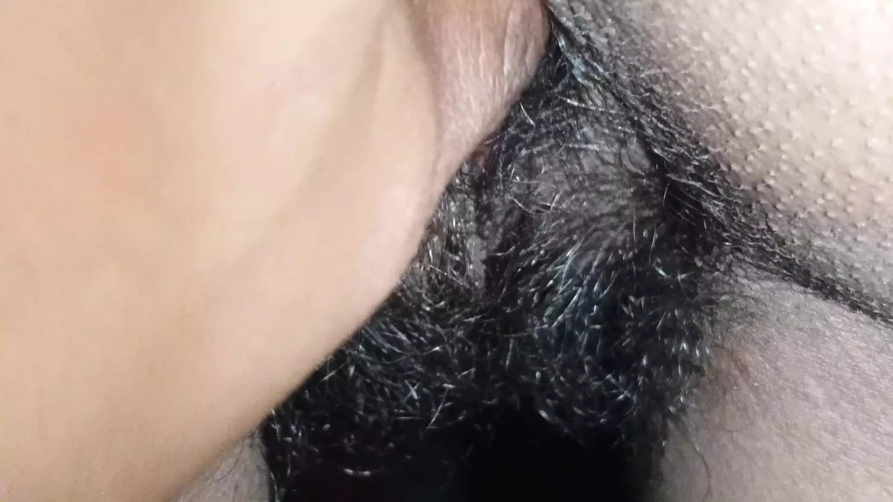 德西老师哥老鼠主