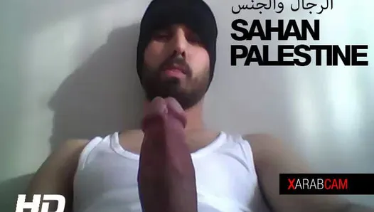 O pau gay árabe perfeito