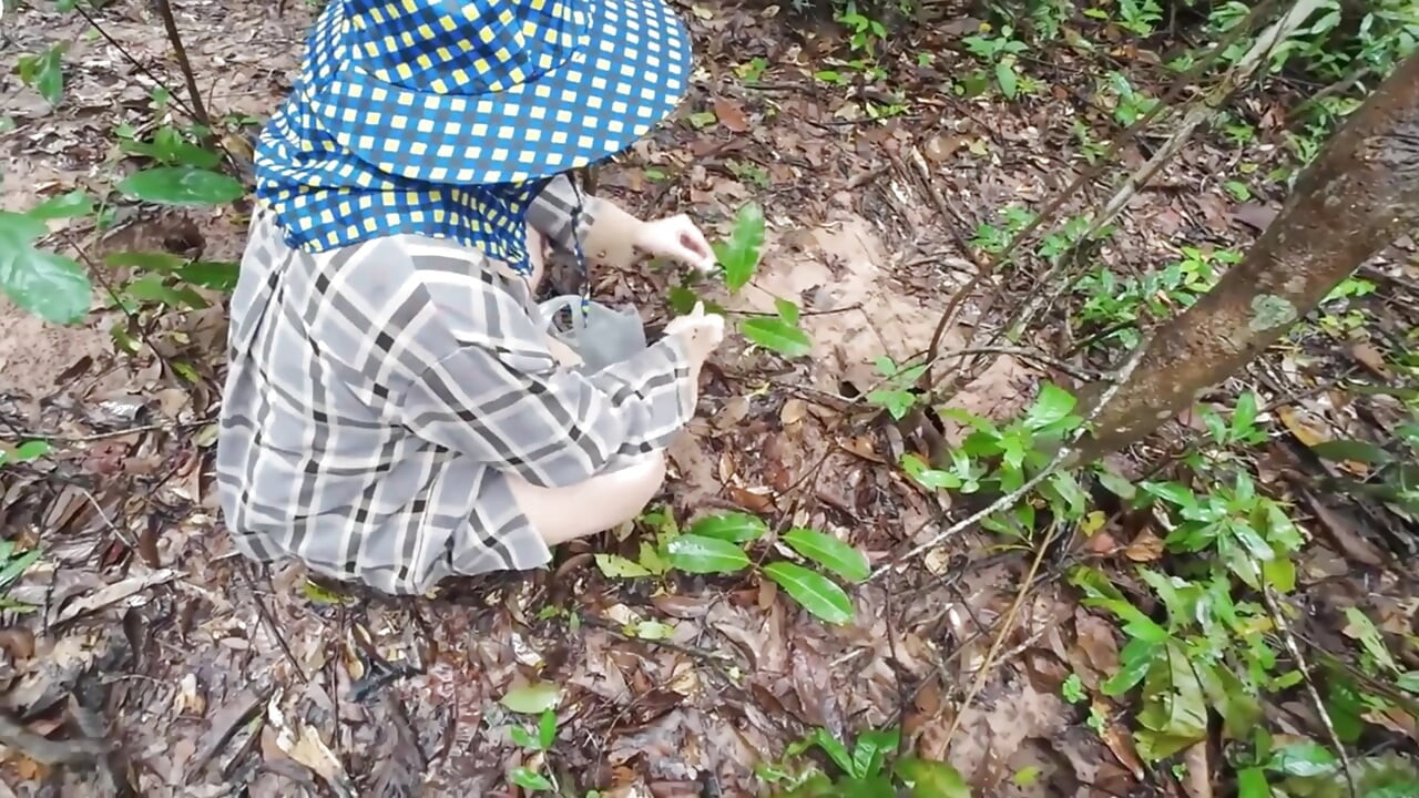 Thai girls walking and talking and picking mushrooms in the forest, secretly showing in the deep forest Clear Thai voice