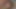 Young petite cocksucking on her knees POV