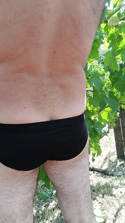 Kontol telanjang di kebun anggur