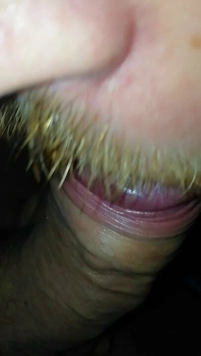 Cặc bự, bú cu thằng bạn