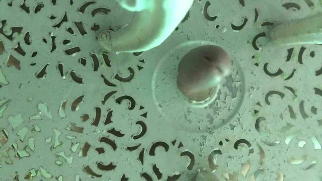 Me fucking a table with tight hole #2