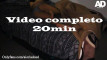 Pregled videozapisa